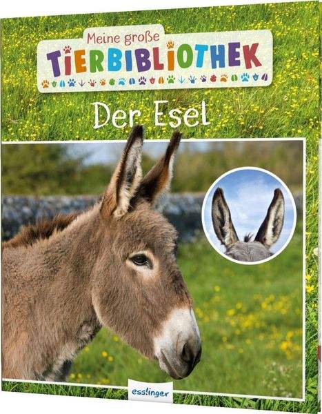 Tierbibliothek Der Esel